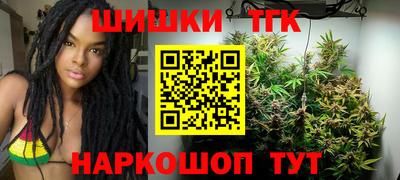 дмт Аргун