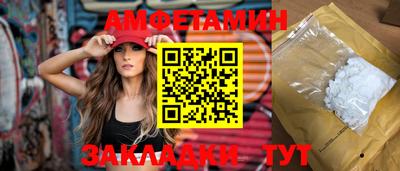 дмт Аргун