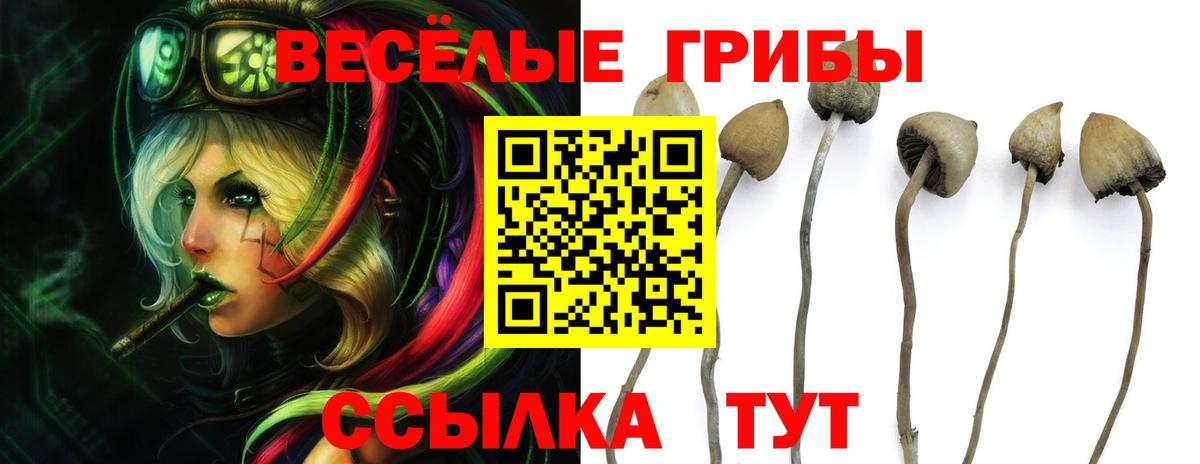 Вязники  Галлюциногенные грибы ЛСД  цена наркотик  Галлюциногенные грибы прущие грибы  Вход с VPN 